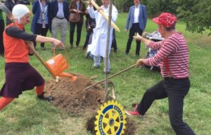 Plantation d'un arbre au Rotary